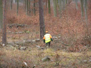 Hannoversche Schweißhunde