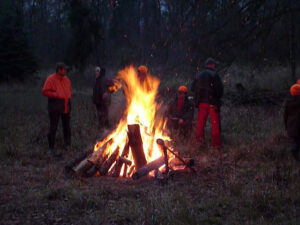 Hannoversche Schweißhunde